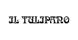 Il Tulipano